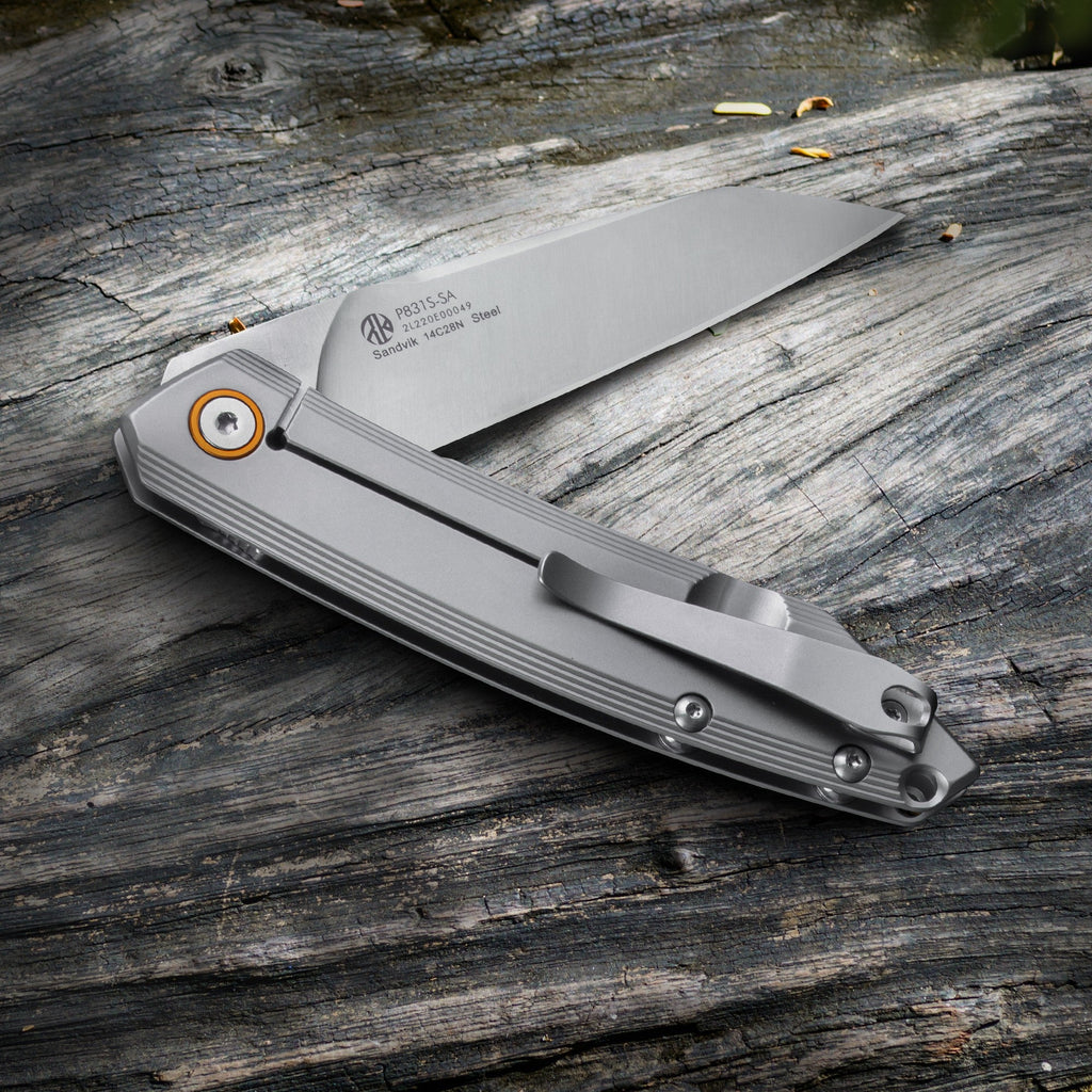 Navaja Ruike P831S-SA (Color Plata)